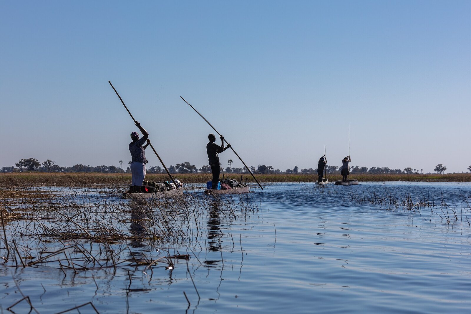 Photo: Diego Delso / CC BY-SA 4.0 Botswana — Okavango Delta