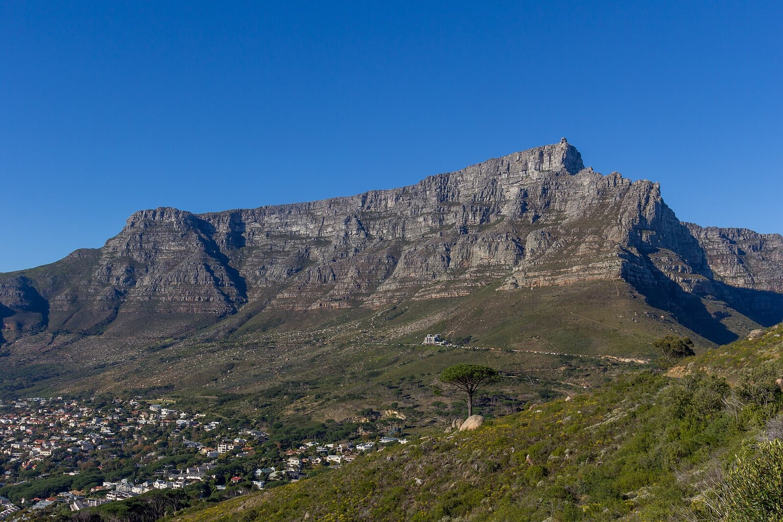 Photo: Photograph by Mike Peel (www.mikepeel.net). / CC BY-SA 4.0 South Africa — Table Mountain