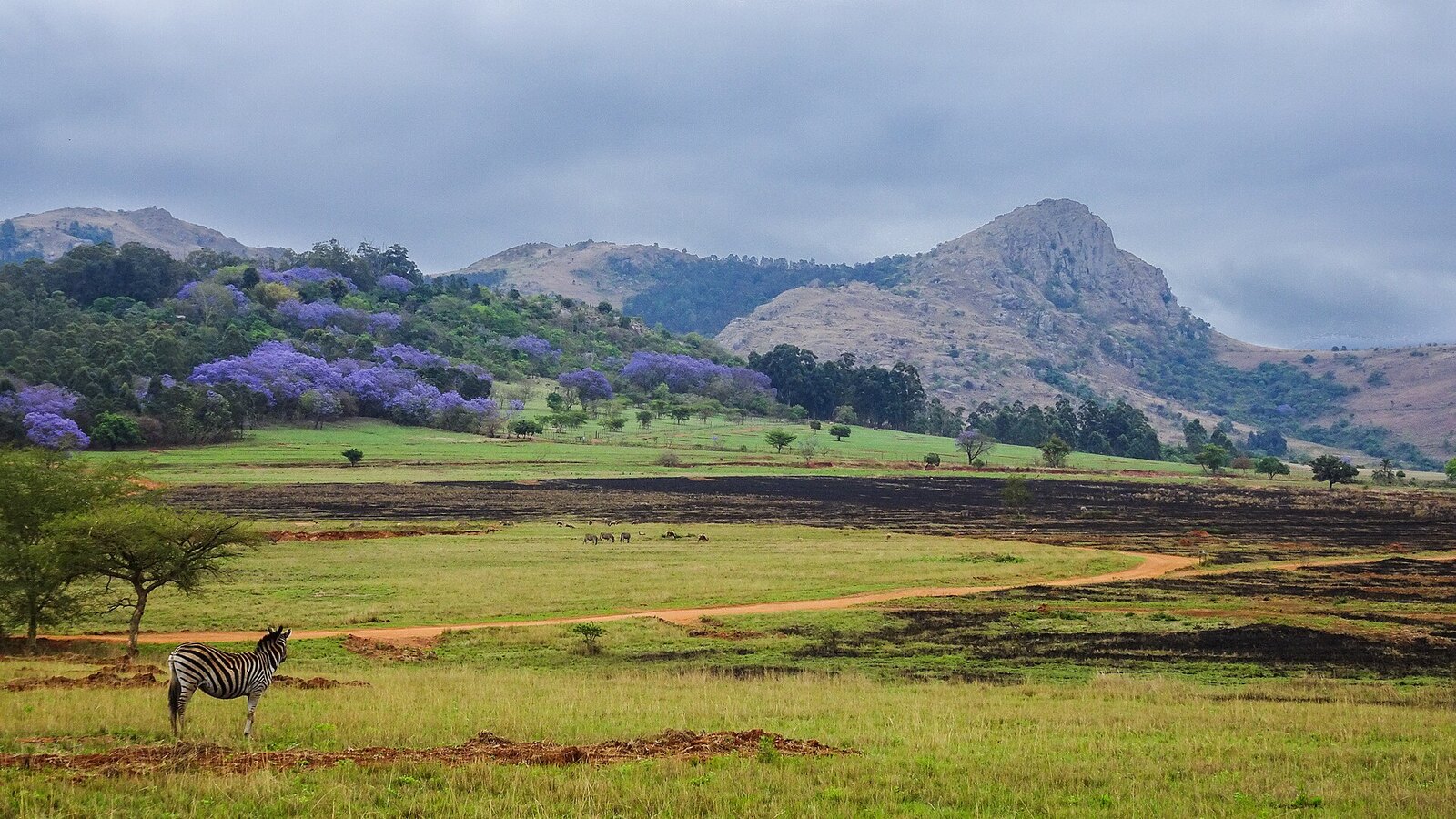 Photo: Jean-Marc Astesana from Voisins le Breto / CC BY-SA 2.0 Swaziland — Nyonyane (Execution Rock), Mantenga